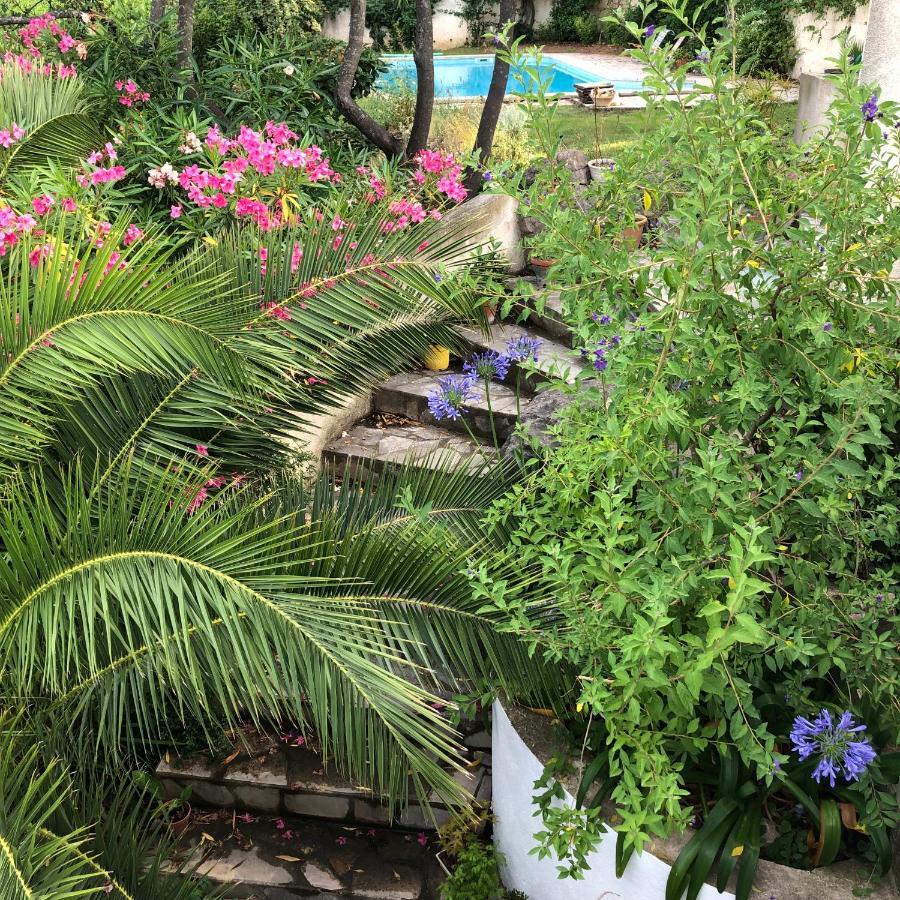 L'Appartement - Jardin Secret Марсель Екстер'єр фото